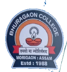 Bhuragaon College