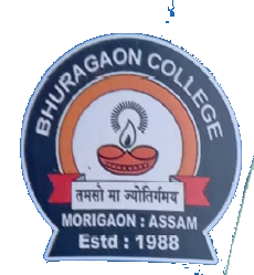 bhuragaon College